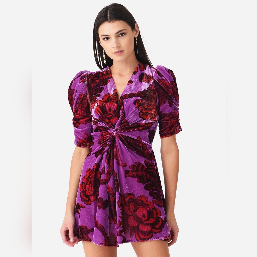 Rhode Leanna Velvet Floral Mini Dress S